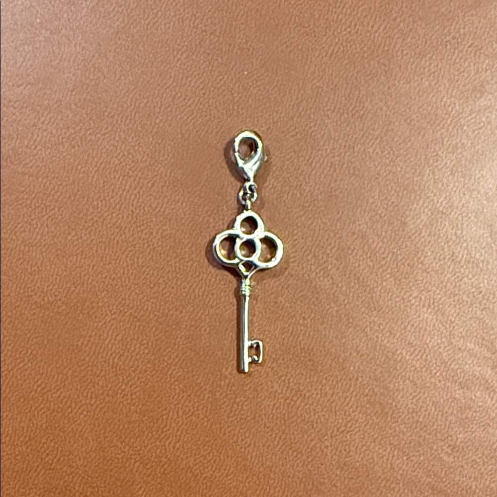 Lia Sophia Elegant Silver Key Charm